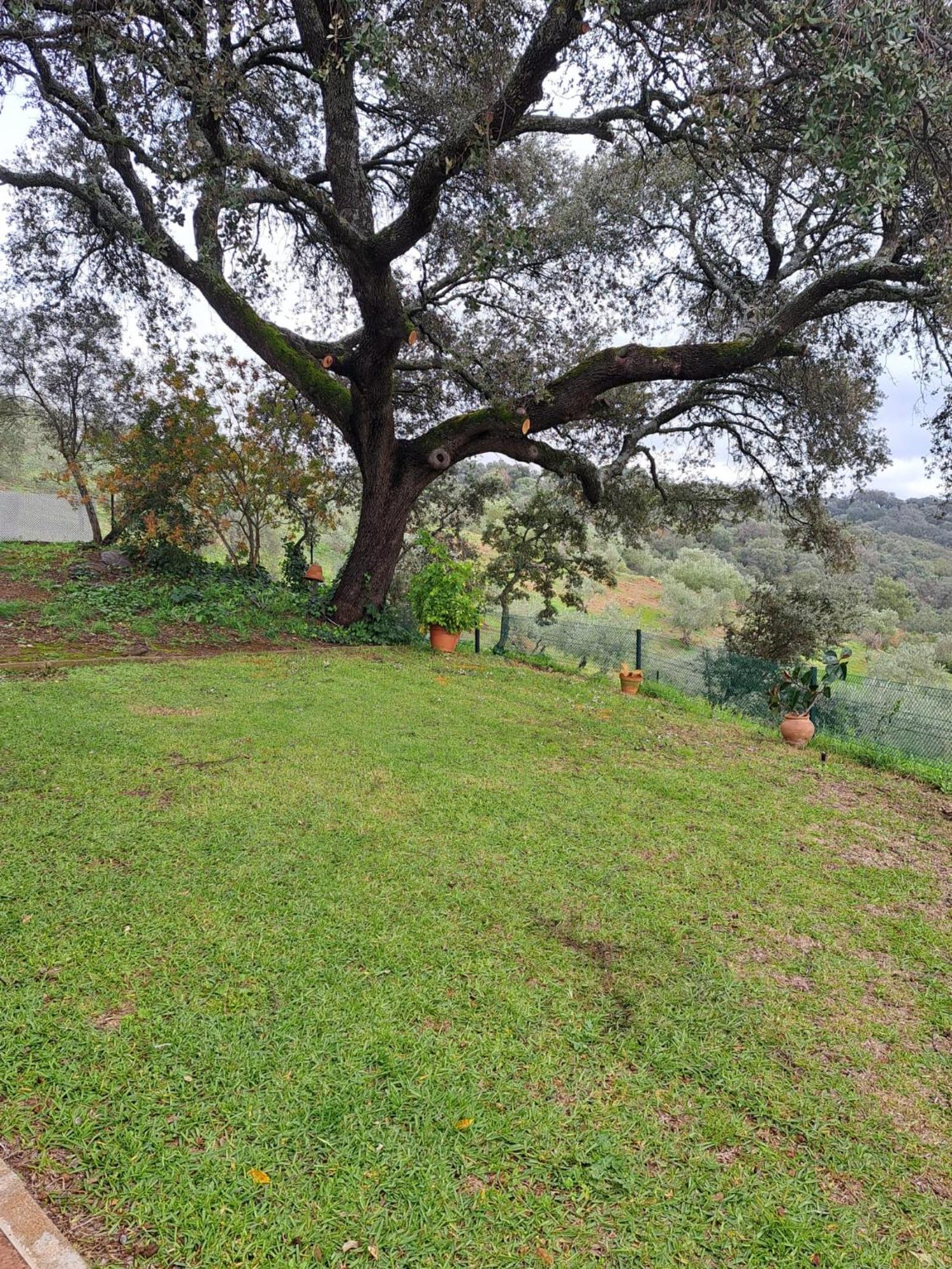 Casa Rural Villa Manuela Cazalla de la Sierra Eksteriør billede