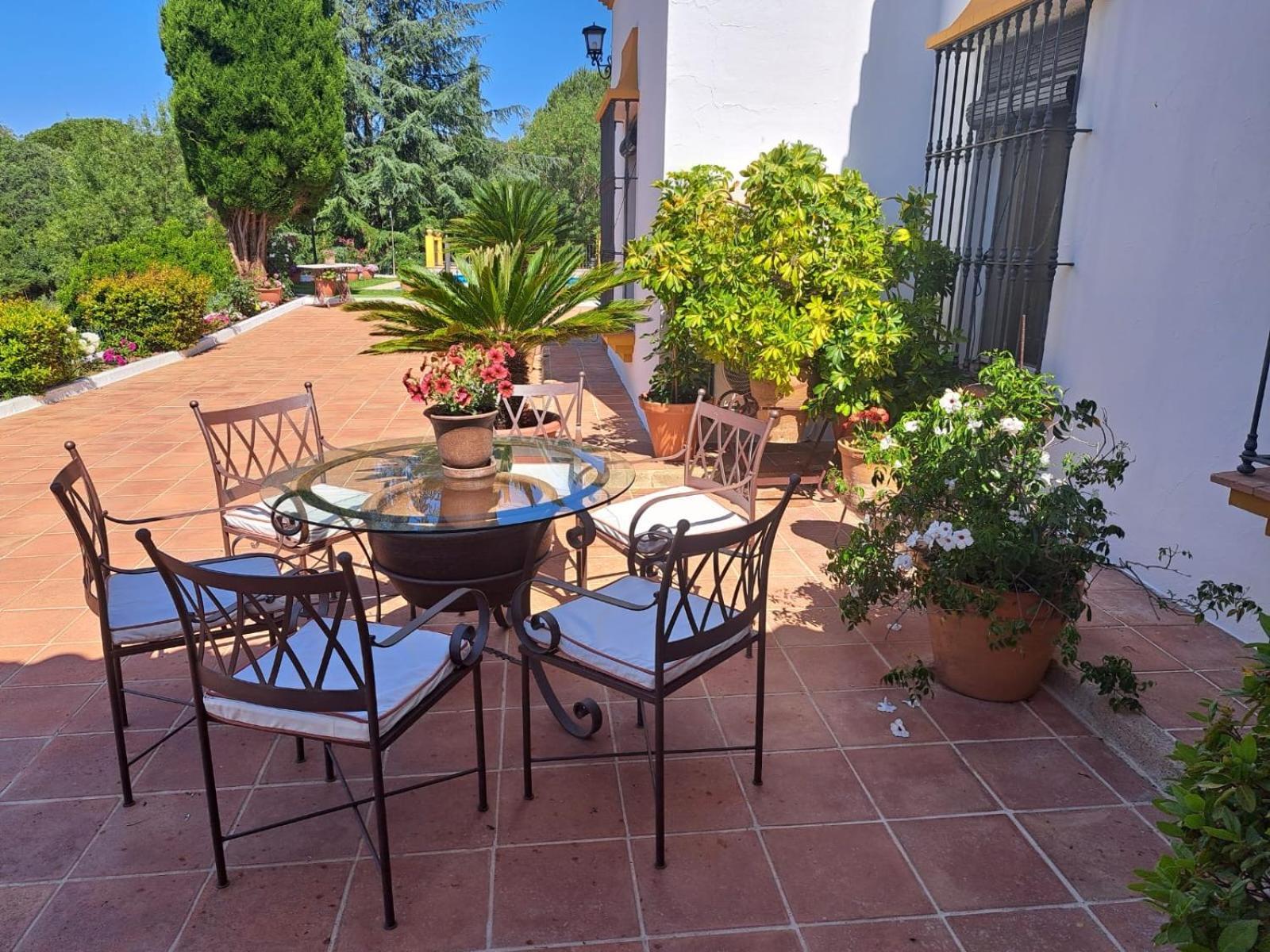 Casa Rural Villa Manuela Cazalla de la Sierra Eksteriør billede