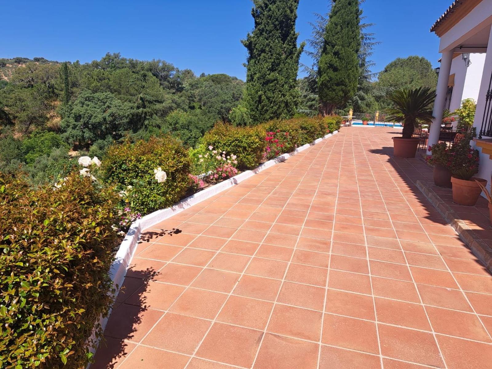 Casa Rural Villa Manuela Cazalla de la Sierra Eksteriør billede
